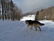 55 E pestiamo neve ...